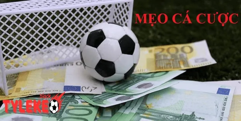 Soi Kèo Newcastle vs Chelsea - Đại Chiến Tại St James’ Park Mẹo Cá Cược Hiệu Quả